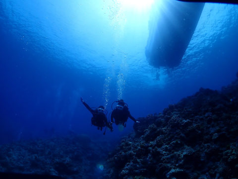 写真：海底から撮影した潜行途中の2名のダイバー。後ろにはボートの影が見える。