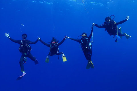 写真：真っ青な海中を背景に4人のダイバーが手を繋いで大の字にポーズを取っている。