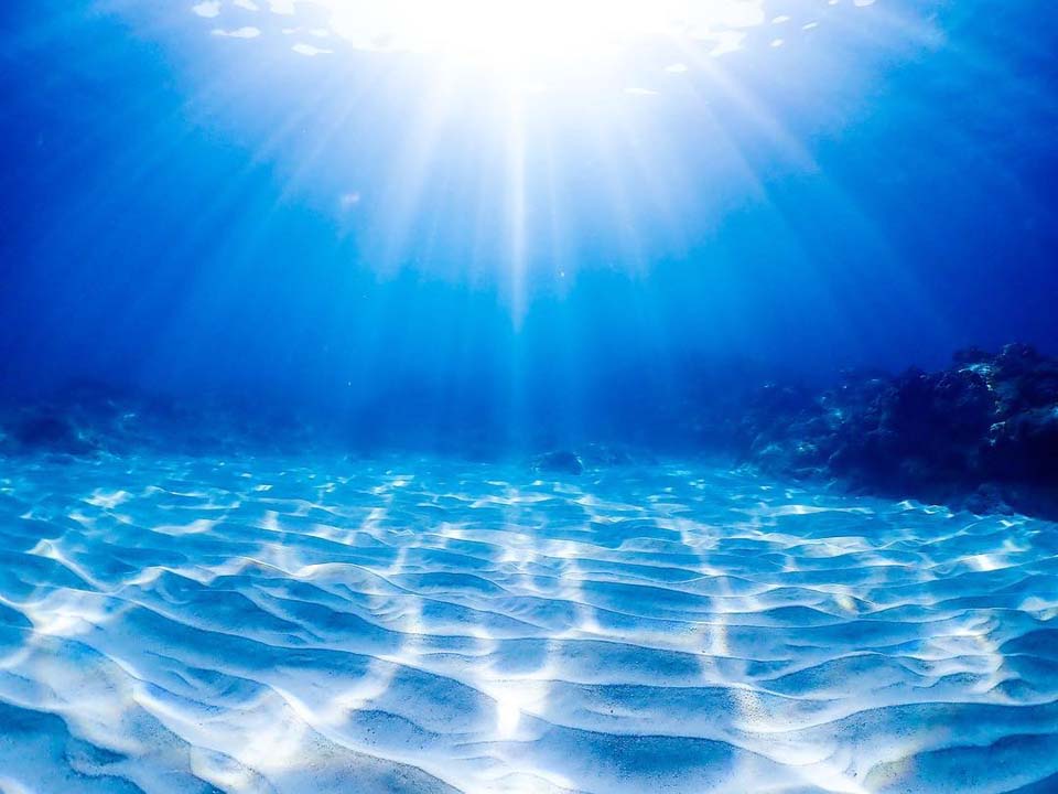写真：海底の白砂に、波によって網目状に輝く日光が降り注いでいる